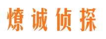 牧野市调查公司